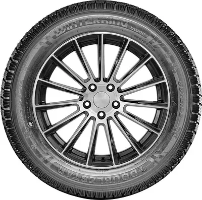 Doublestar DW05 235/55 R19C 101T Doublestar DW05 235/55 R19C 101T