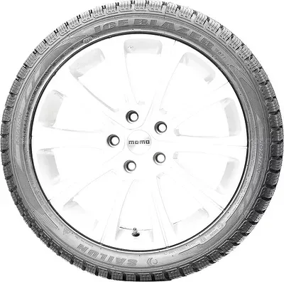 Sailun Ice Blazer WST1 275/40 R20 106H XL Sailun Ice Blazer WST1 275/40 R20 106H XL
