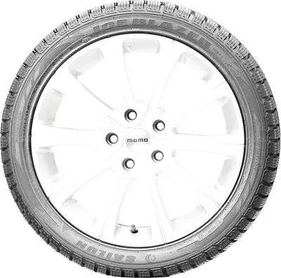 Sailun Ice Blazer WST1 (Нешип) 215/75 R16C 113/111R Sailun Ice Blazer WST1 (Нешип) 215/75 R16C 113/111R