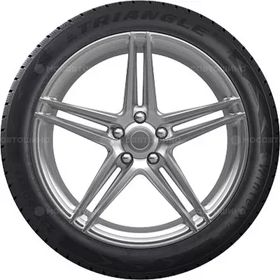Triangle TW401 WinterX 245/45 R19 102V XL Triangle TW401 WinterX 245/45 R19 102V XL